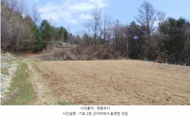 2025타경486 강원특별자치도 평창군 봉평면 면온리 753-9 농지 경매 이미지