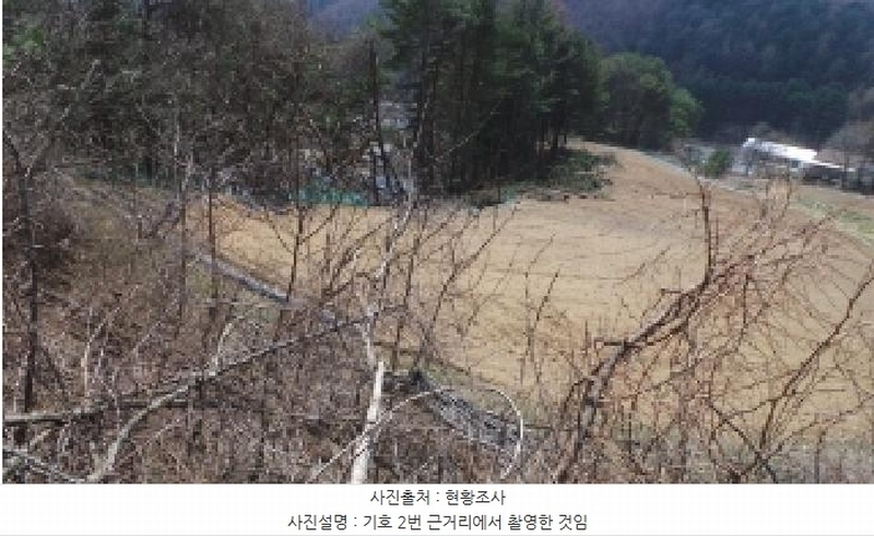 2025타경486 강원특별자치도 평창군 봉평면 면온리 753-9 농지 경매 이미지