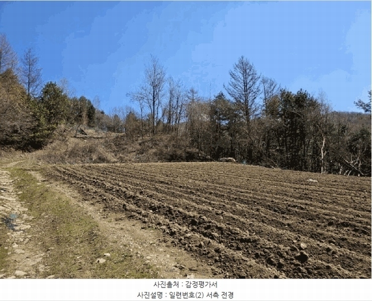 2025타경486 강원특별자치도 평창군 봉평면 면온리 753-9 농지 경매 이미지
