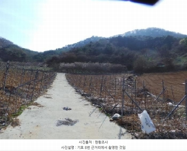 2025타경585 강원특별자치도 정선군 신동읍 운치리 872 농지 경매 이미지