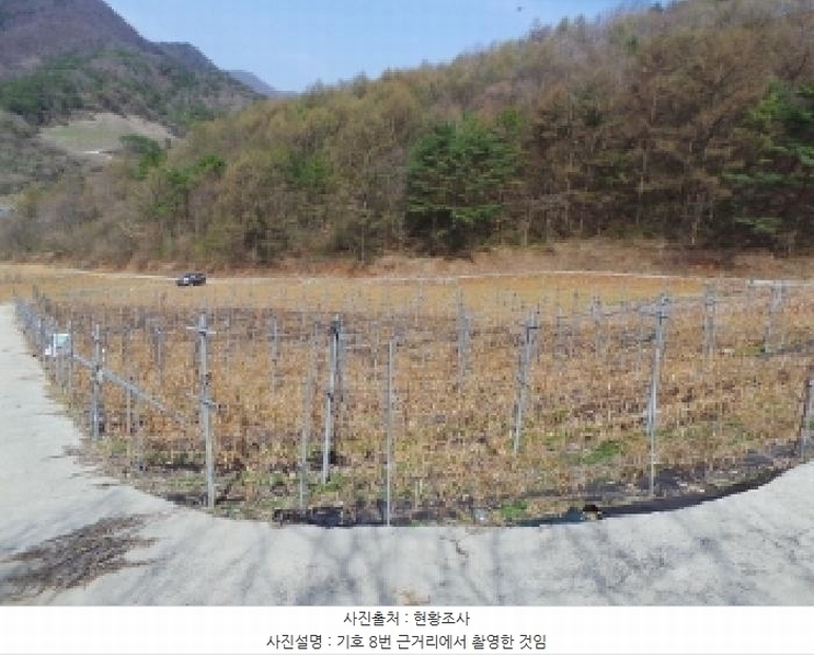 2025타경585 강원특별자치도 정선군 신동읍 운치리 872 농지 경매 이미지