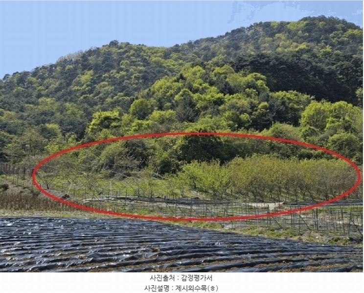 2025타경585 강원특별자치도 정선군 신동읍 운치리 872 농지 경매 이미지
