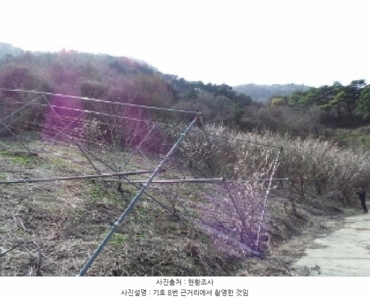 2025타경585 강원특별자치도 정선군 신동읍 운치리 872 농지 경매 이미지