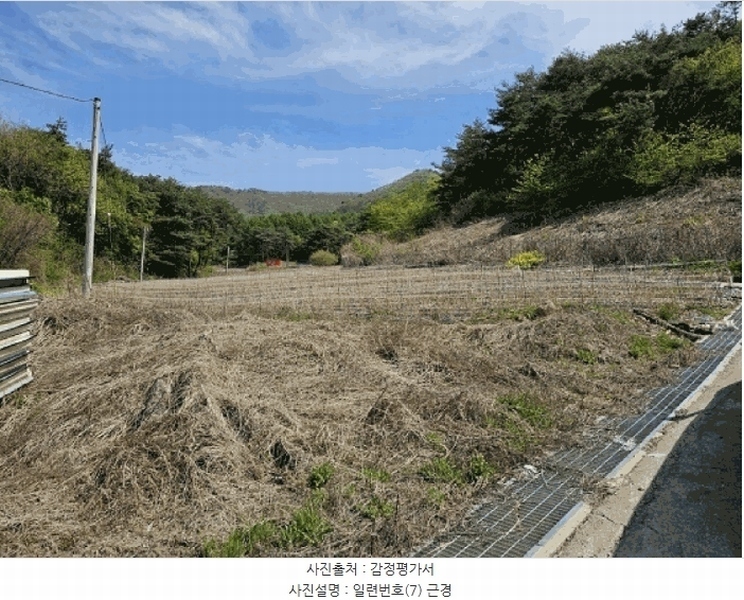 2025타경585 강원특별자치도 정선군 신동읍 운치리 711 농지 경매 이미지