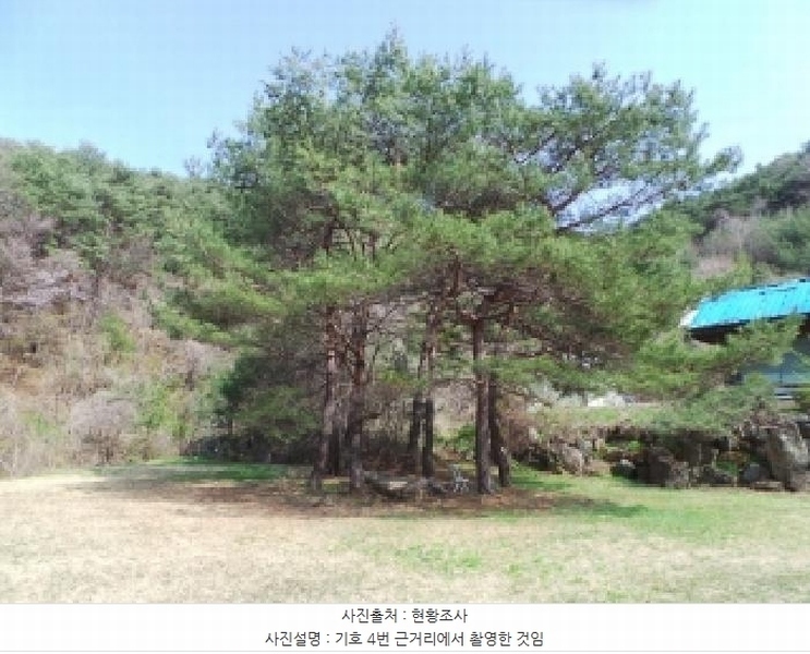 2025타경585 강원특별자치도 정선군 신동읍 운치리 1082-1 농지 경매 이미지