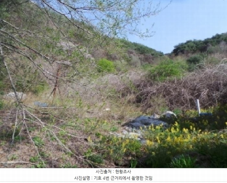 2025타경585 강원특별자치도 정선군 신동읍 운치리 1082-1 농지 경매 이미지