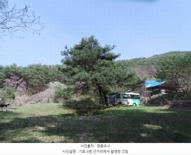2025타경585 강원특별자치도 정선군 신동읍 운치리 1082-1 농지 경매 이미지