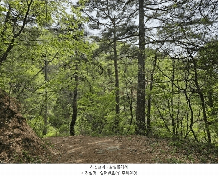 2025타경585 강원특별자치도 정선군 신동읍 운치리 1082-1 농지 경매 이미지