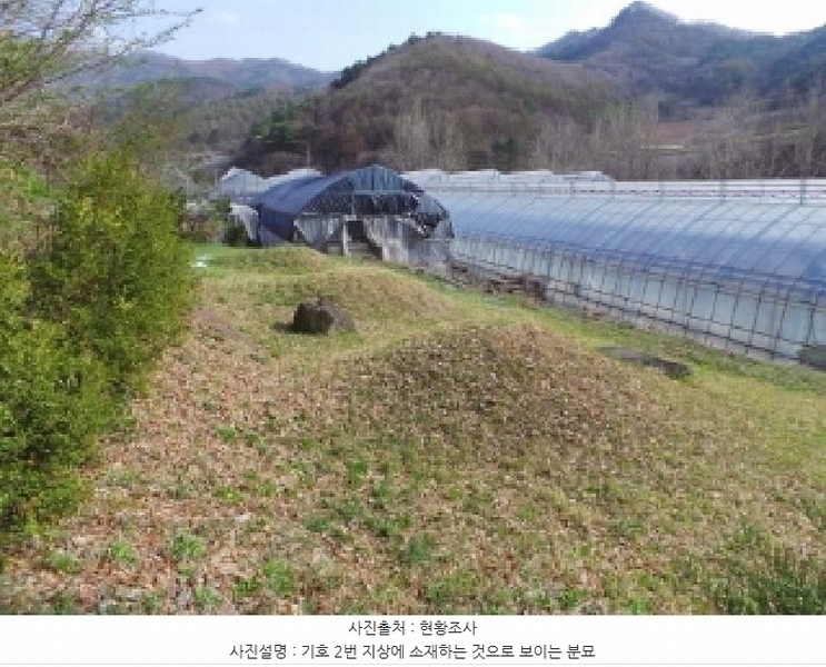 2025타경585 강원특별자치도 정선군 신동읍 운치리 823 농지 경매 이미지