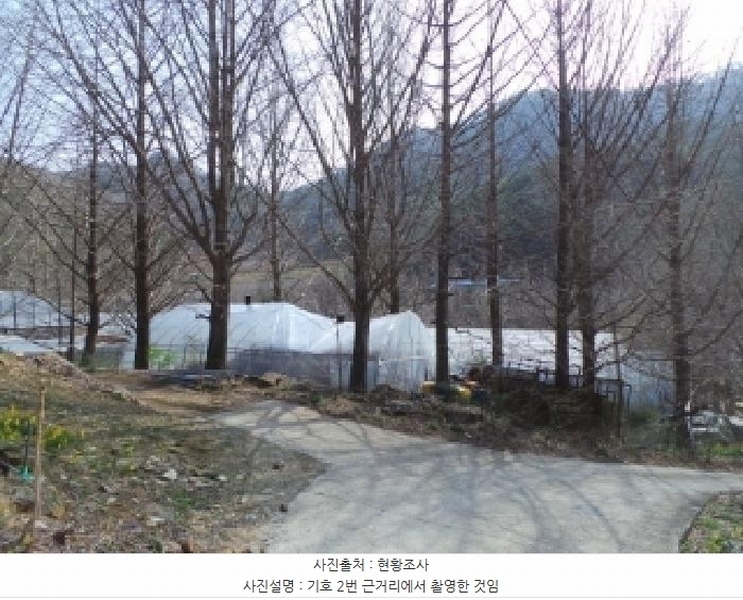 2025타경585 강원특별자치도 정선군 신동읍 운치리 823 농지 경매 이미지