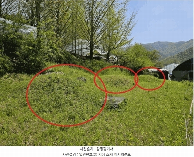 2025타경585 강원특별자치도 정선군 신동읍 운치리 823 농지 경매 이미지