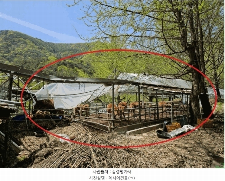 2025타경585 강원특별자치도 정선군 신동읍 운치리 823 농지 경매 이미지