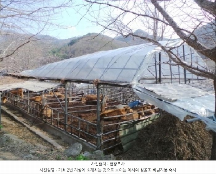 2025타경585 강원특별자치도 정선군 신동읍 운치리 823 농지 경매 이미지
