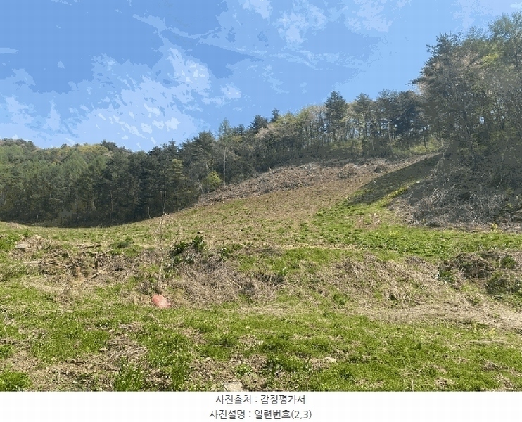 2025타경30443 강원특별자치도 정선군 사북읍 직전리 62-1 농지 경매 이미지