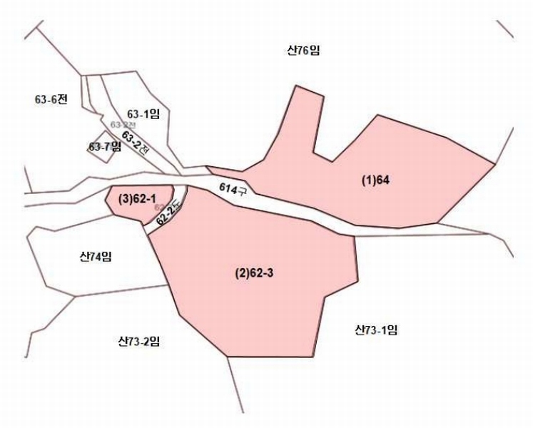 2025타경30443 강원특별자치도 정선군 사북읍 직전리 62-1 농지 경매 이미지