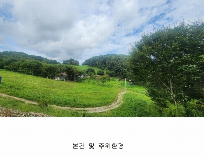 2025타경3824 경기도 연천군 군남면 왕림리 산228 임야 경매 이미지