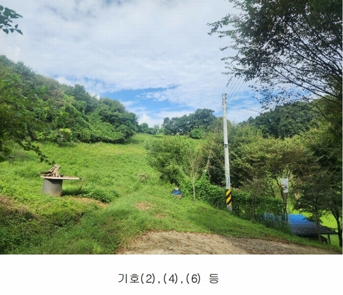 2025타경3824 경기도 연천군 군남면 왕림리 산228 임야 경매 이미지