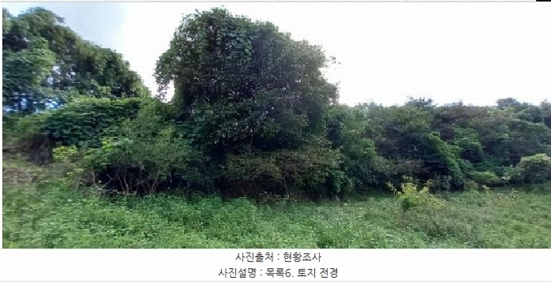 2025타경3824 경기도 연천군 군남면 왕림리 산228 임야 경매 이미지