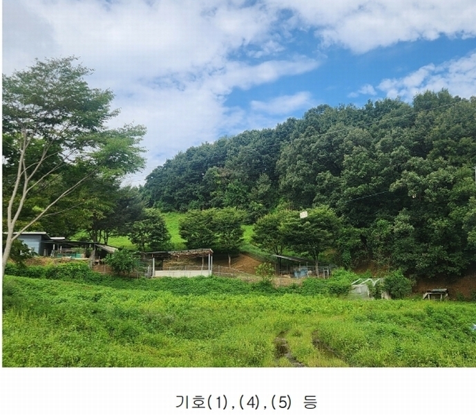 2025타경3824 경기도 연천군 군남면 왕림리 산226 임야 경매 이미지