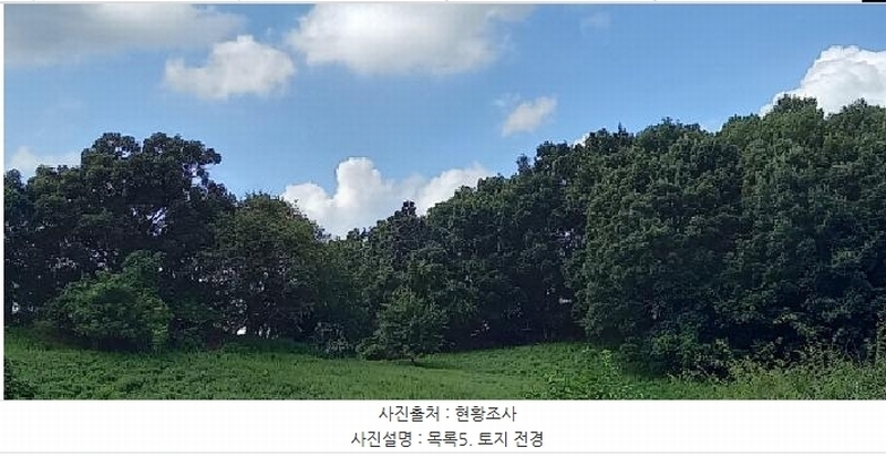 2025타경3824 경기도 연천군 군남면 왕림리 산226 임야 경매 이미지