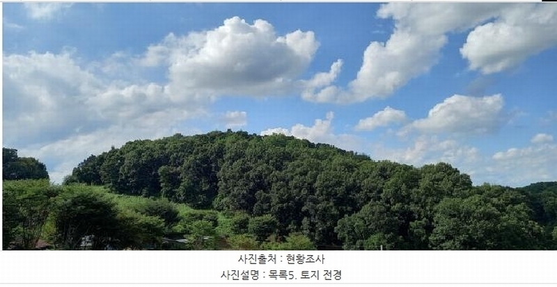 2025타경3824 경기도 연천군 군남면 왕림리 산226 임야 경매 이미지