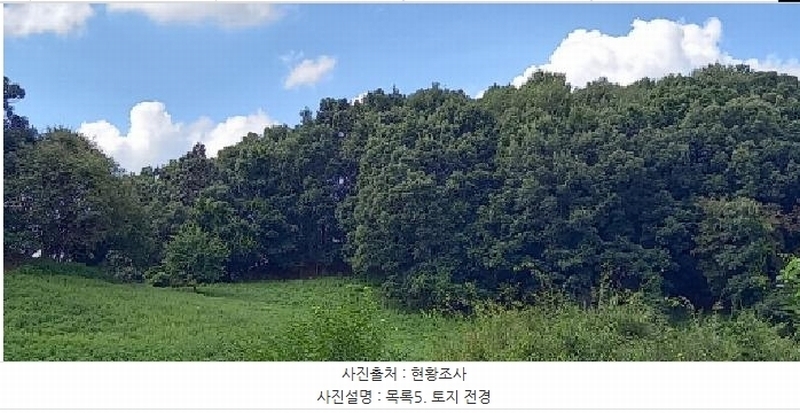 2025타경3824 경기도 연천군 군남면 왕림리 산226 임야 경매 이미지