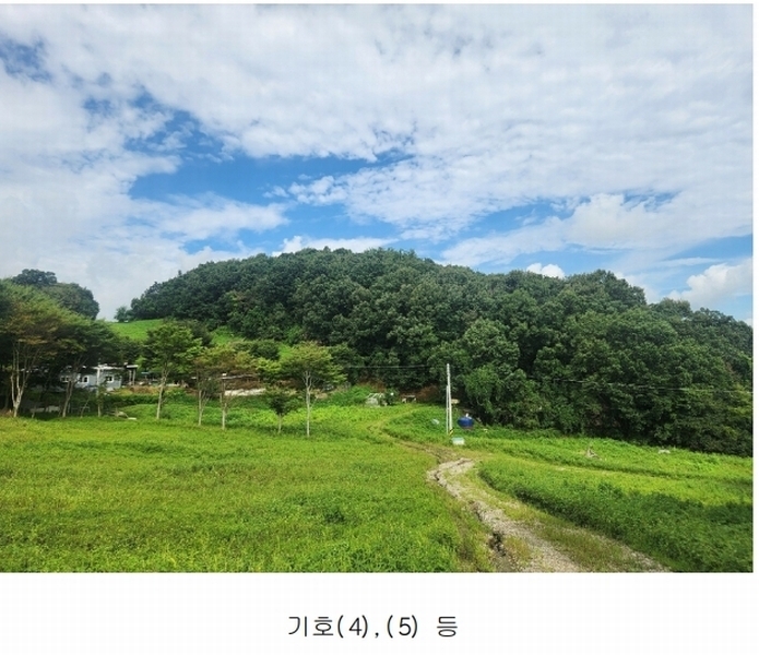 2025타경3824 경기도 연천군 군남면 왕림리 산226 임야 경매 이미지