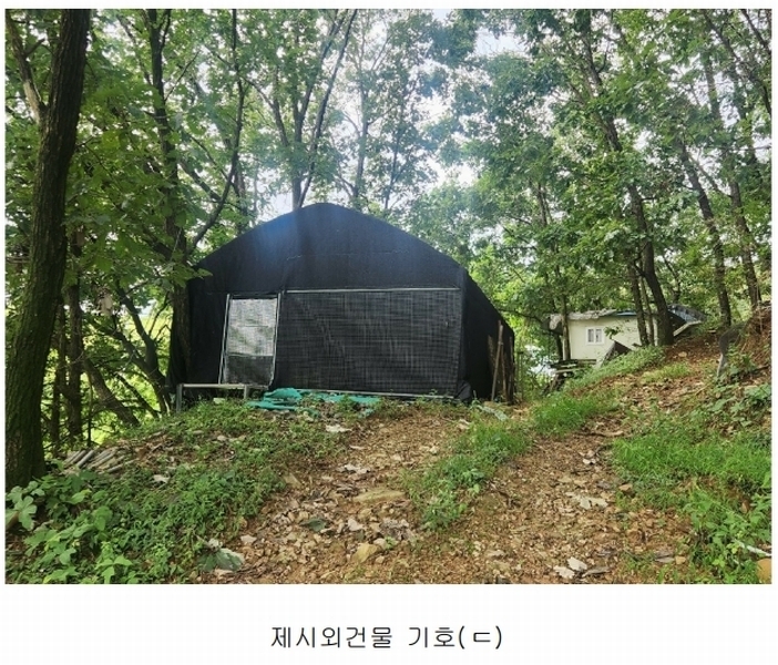 2025타경3824 경기도 연천군 군남면 왕림리 산226 임야 경매 이미지