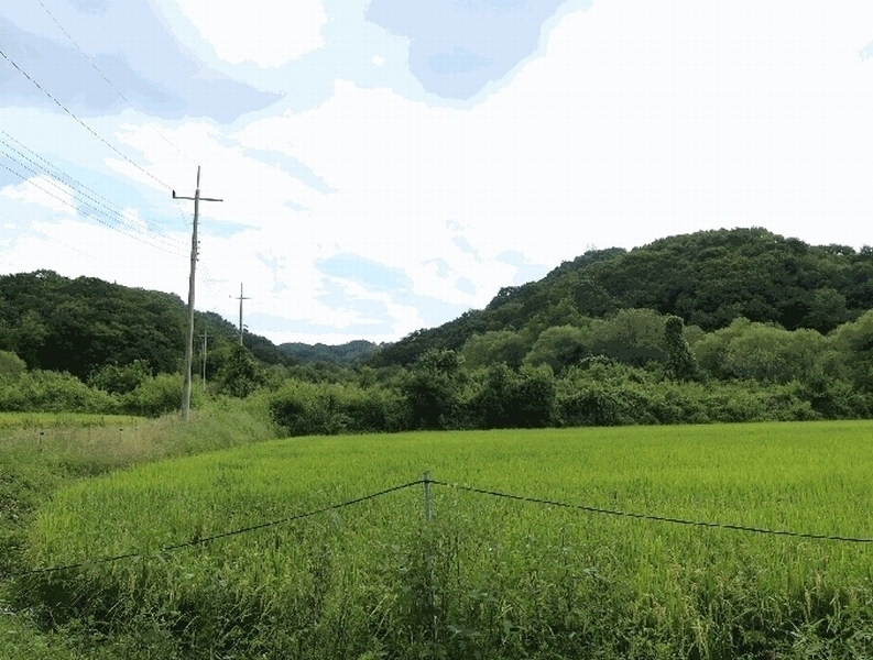 2025타경4018 경기도 연천군 신서면 마전리 929 농지 경매 이미지