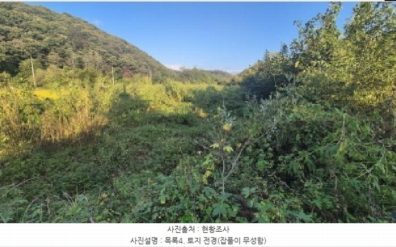 2025타경4018 경기도 연천군 신서면 마전리 929 농지 경매 이미지