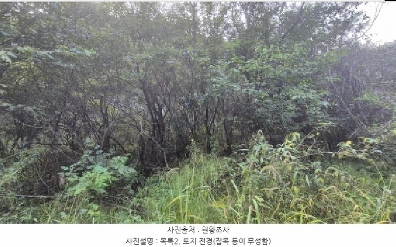 2025타경4018 경기도 연천군 신서면 마전리 909 농지 경매 이미지