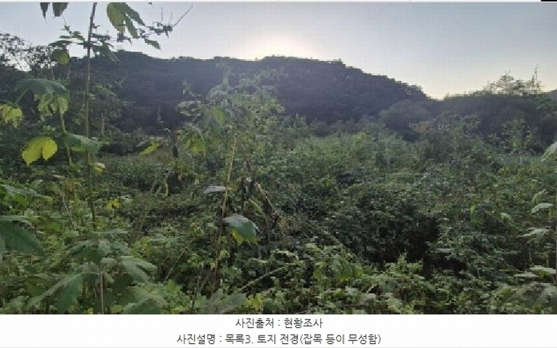 2025타경4018 경기도 연천군 신서면 마전리 909 농지 경매 이미지