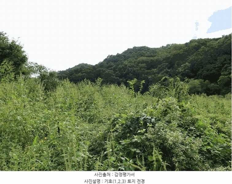 2025타경4018 경기도 연천군 신서면 마전리 909 농지 경매 이미지