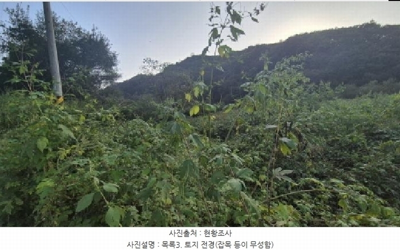 2025타경4018 경기도 연천군 신서면 마전리 909 농지 경매 이미지