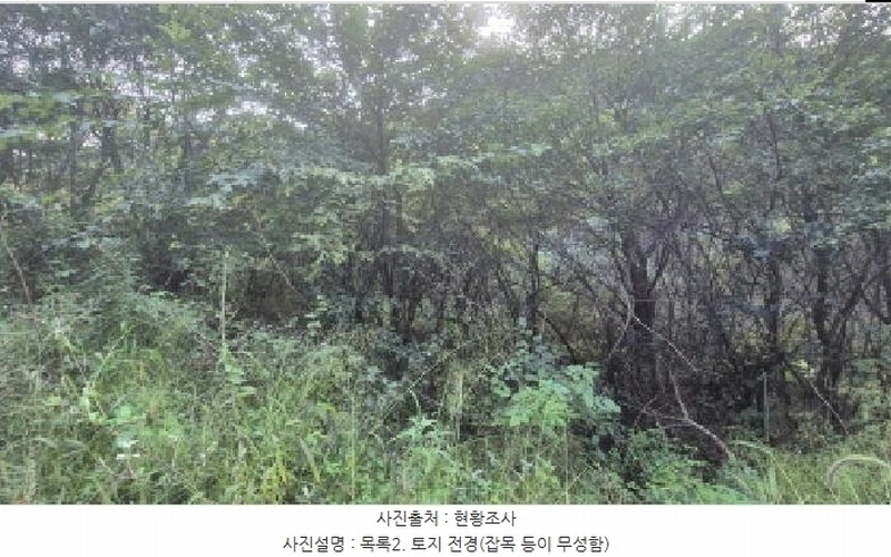 2025타경4018 경기도 연천군 신서면 마전리 909 농지 경매 이미지