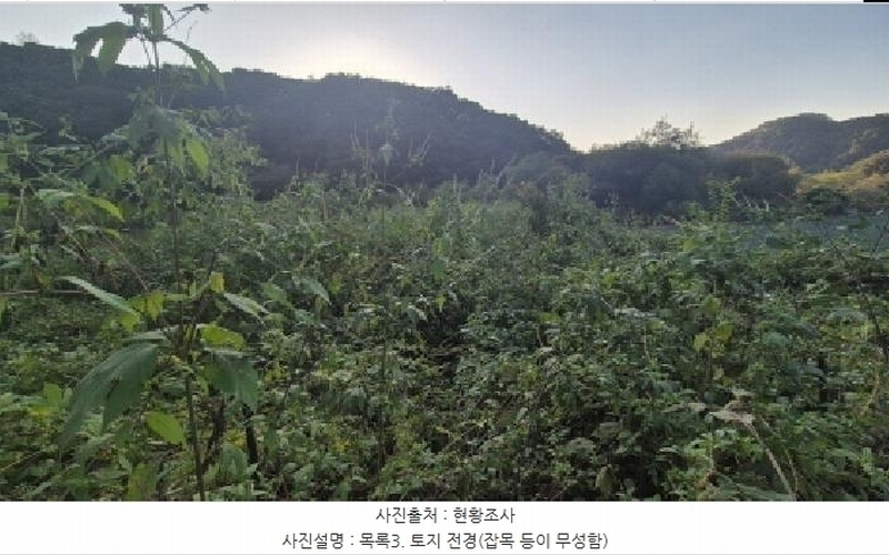 2025타경4018 경기도 연천군 신서면 마전리 909 농지 경매 이미지