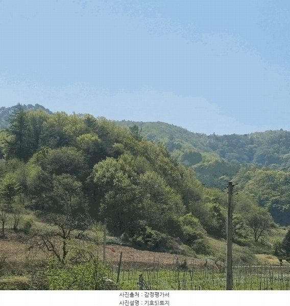 2025타경158 경상북도 문경시 농암면 연천리 158 농지 경매 이미지