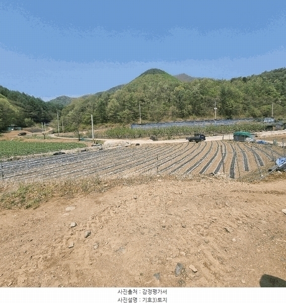 2025타경158 경상북도 문경시 농암면 연천리 61-2 농지 경매 이미지
