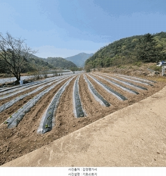 2025타경158 경상북도 문경시 농암면 연천리 61-2 농지 경매 이미지