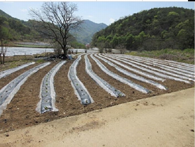 2025타경158 경상북도 문경시 농암면 연천리 61-2 농지 경매 이미지