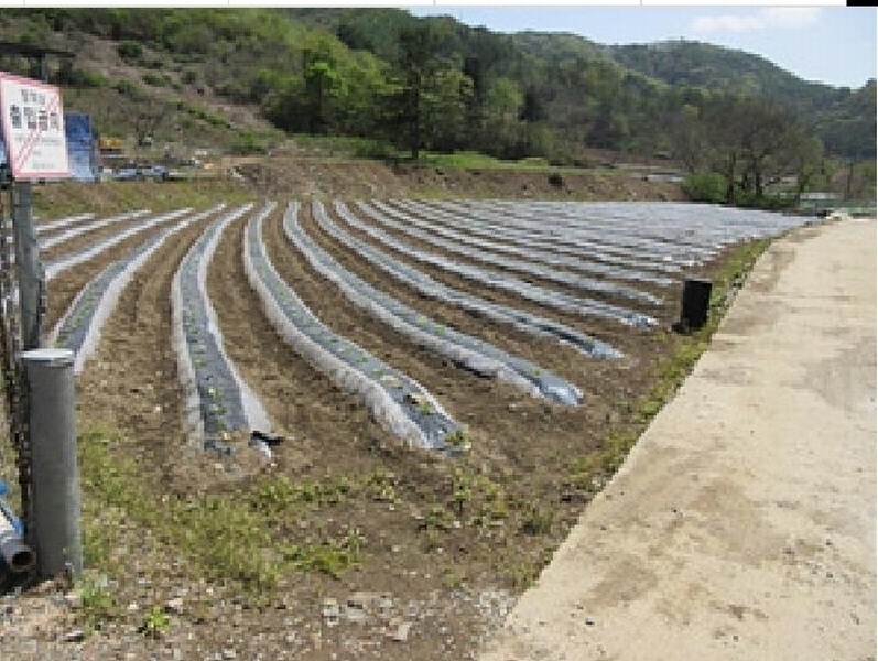 2025타경158 경상북도 문경시 농암면 연천리 61-2 농지 경매 이미지