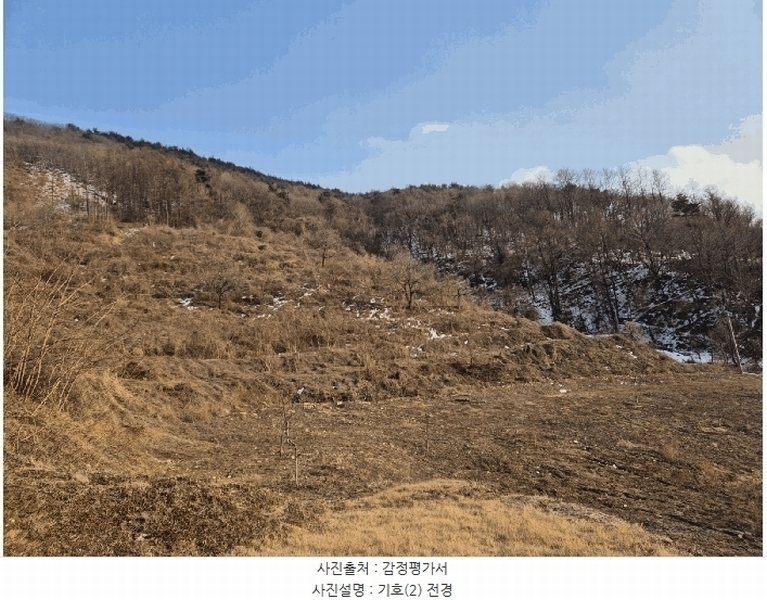 2025타경5240 경상북도 예천군 효자면 고항리 184 농지 경매 이미지