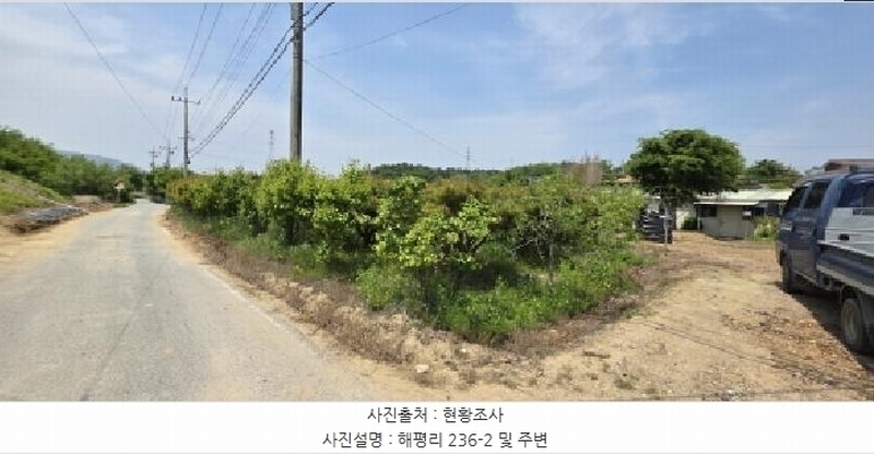 2025타경11010 경상북도 구미시 해평면 해평리 236-2 농지 경매 이미지
