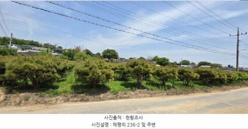 2025타경11010 경상북도 구미시 해평면 해평리 236-2 농지 경매 이미지