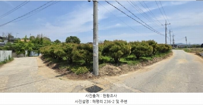 2025타경11010 경상북도 구미시 해평면 해평리 236-2 농지 경매 이미지