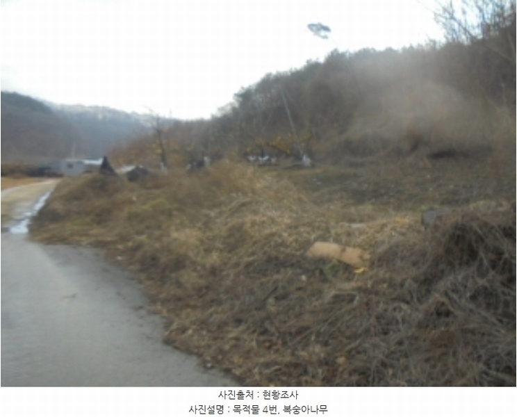 2024타경36264 충청북도 충주시 살미면 설운리 95 농지 경매 이미지