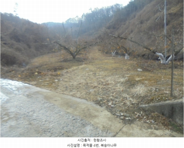 2024타경36264 충청북도 충주시 살미면 설운리 95 농지 경매 이미지
