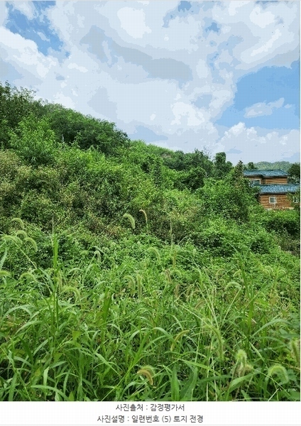 2025타경1821 충청북도 음성군 감곡면 단평리 59-7 농지 경매 이미지