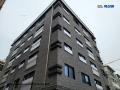 2025타경9843 서울특별시 강서구 초록마을로24길 28, 다온숲 2층 203호 다세대(빌라) 경매 이미지
