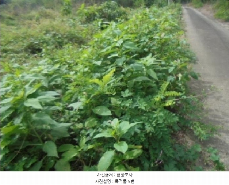 2025타경30783 충청북도 음성군 금왕읍 용계리 산44-10 임야 경매 이미지